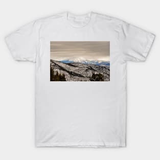 Glenwood Springs Park View T-Shirt